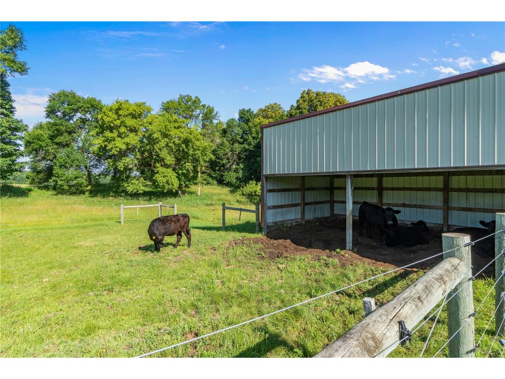 7148 County Road 42 NE Alexandria MN 56308 6805647 image94