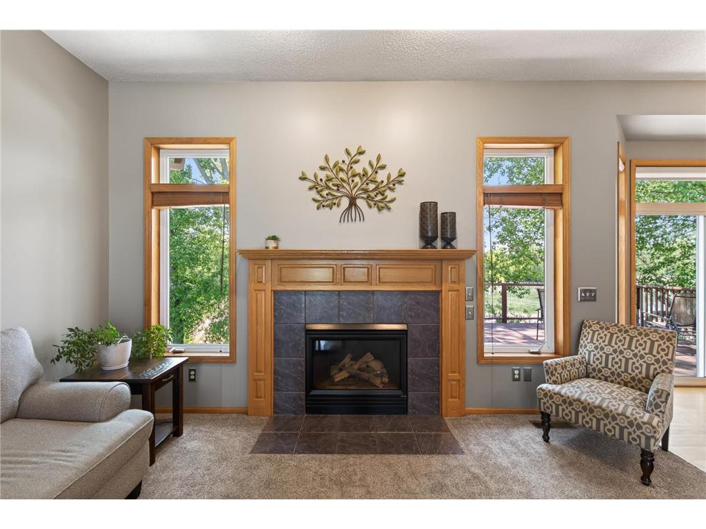 7148 Maryland Circle Savage MN 55378 7080094 image16