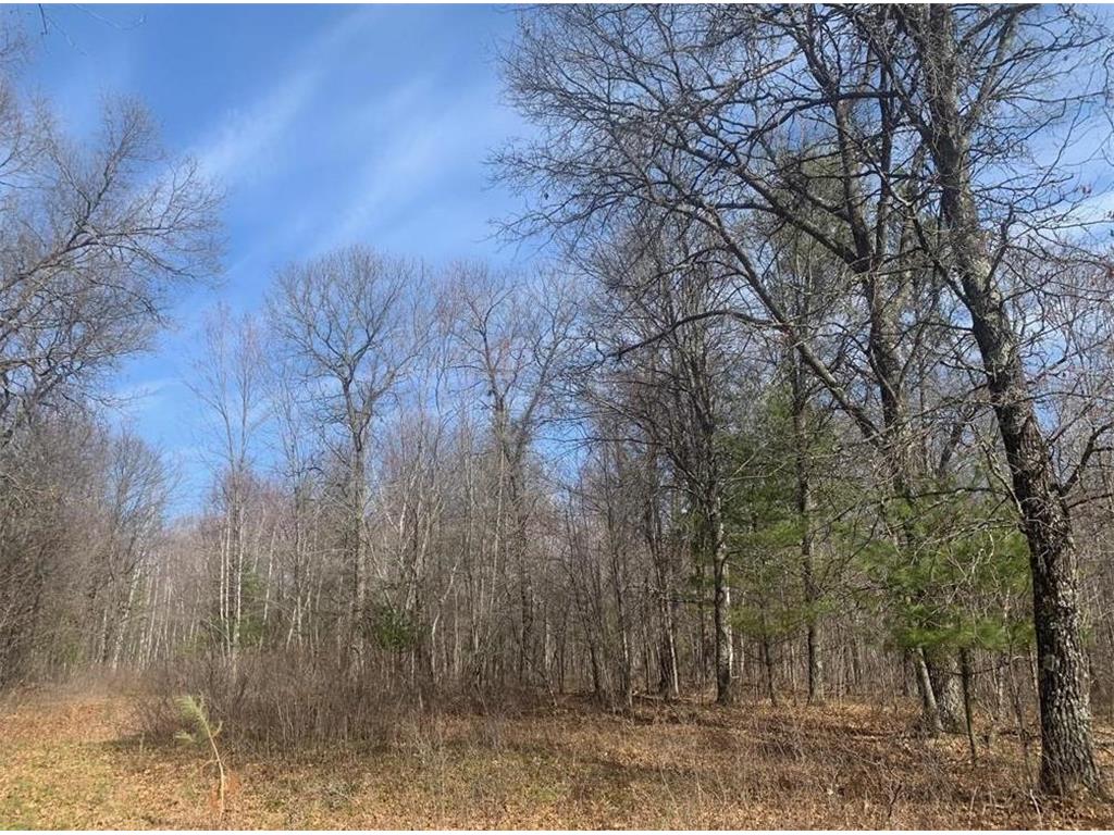 7148 Oakwood Parkway Webster WI 54893 6502149 image1