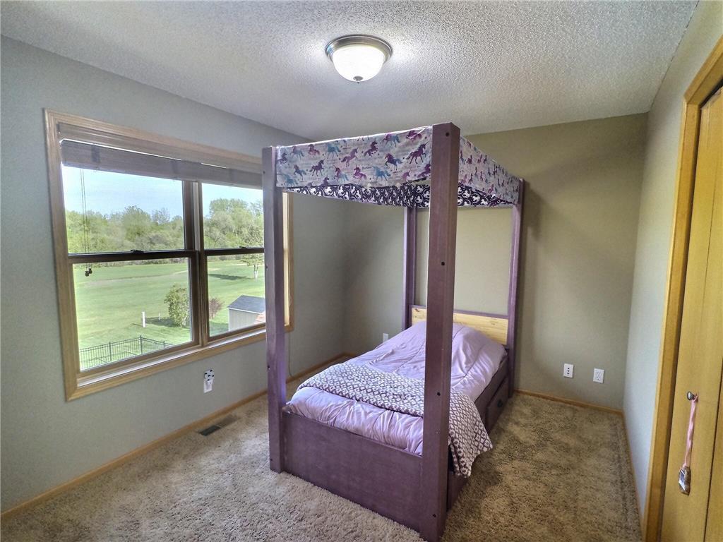 715 Acacia Drive S Annandale MN 55302 7074032 image19