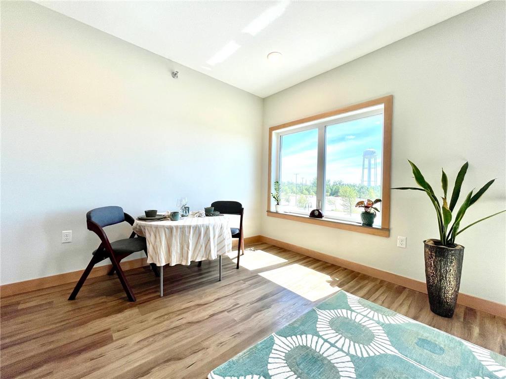 715 Lake Shore Drive NE #201 Bemidji MN 56601 - Bemidji 6767167 image3