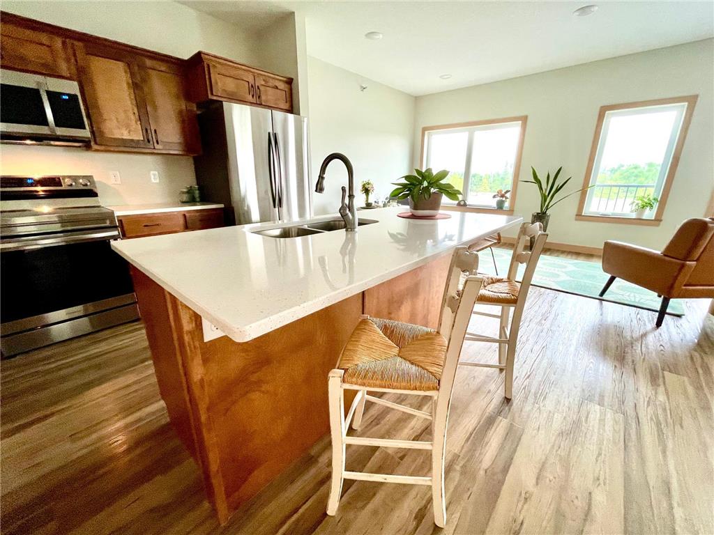 715 Lake Shore Drive NE #201 Bemidji MN 56601 - Bemidji 6767167 image9