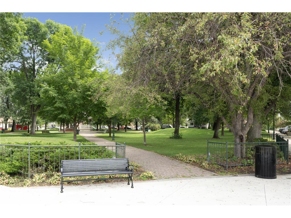 715 Liberty Heights Drive Chaska MN 55318 6816253 image30