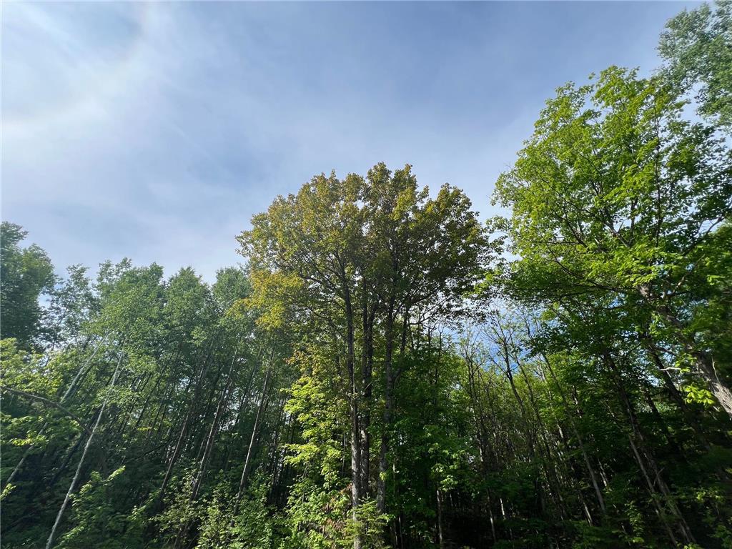 7151 E County Road A Solon Springs Twp WI 54873 7088593 image10