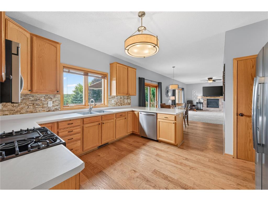 7157 Hidden Valley Lane S Cottage Grove MN 55016 7101326 image6
