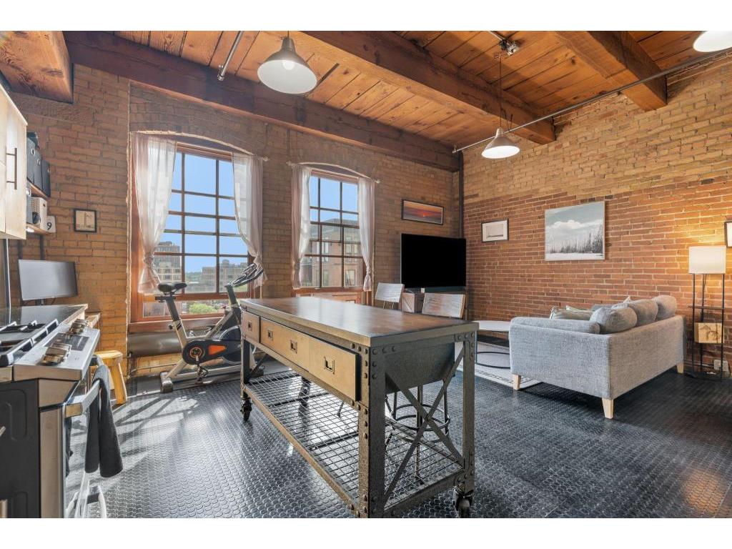 716 N 1st Street #535 Minneapolis MN 55401 - Mississippi 7042191 image1