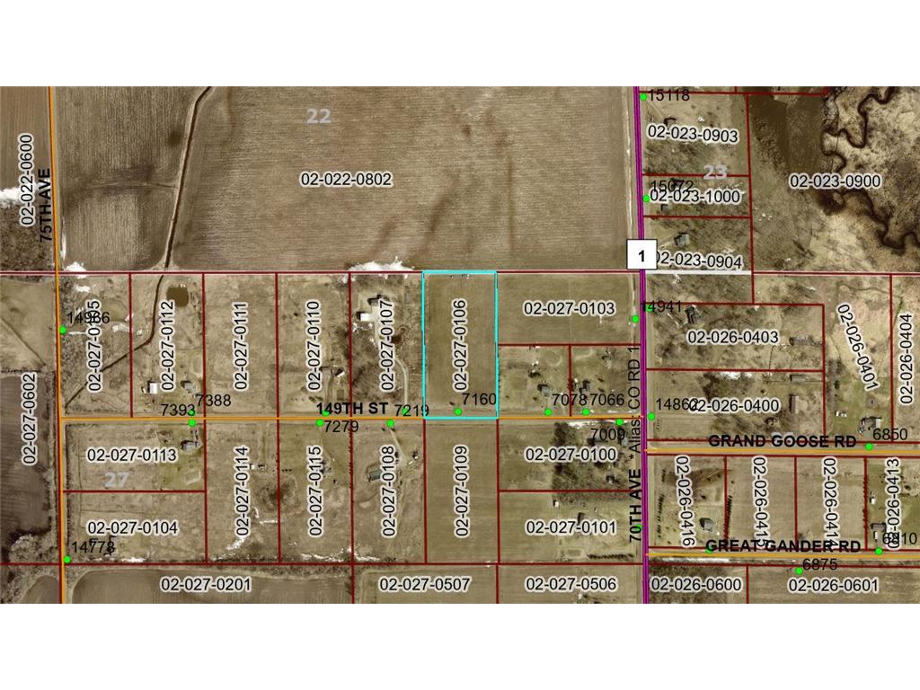 7160 149th Street Borgholm Twp MN 56353 7071055 image1