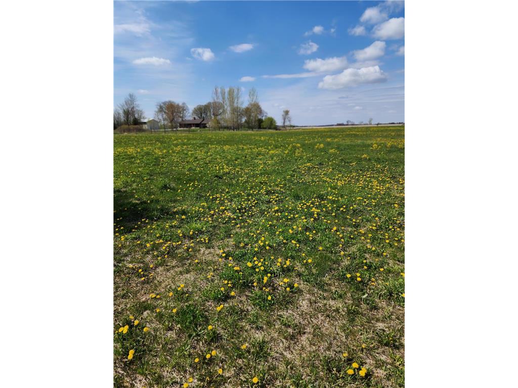 7160 149th Street Borgholm Twp MN 56353 7071055 image10