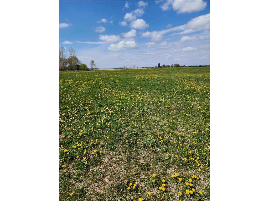 7160 149th Street Borgholm Twp MN 56353 7071055 image11