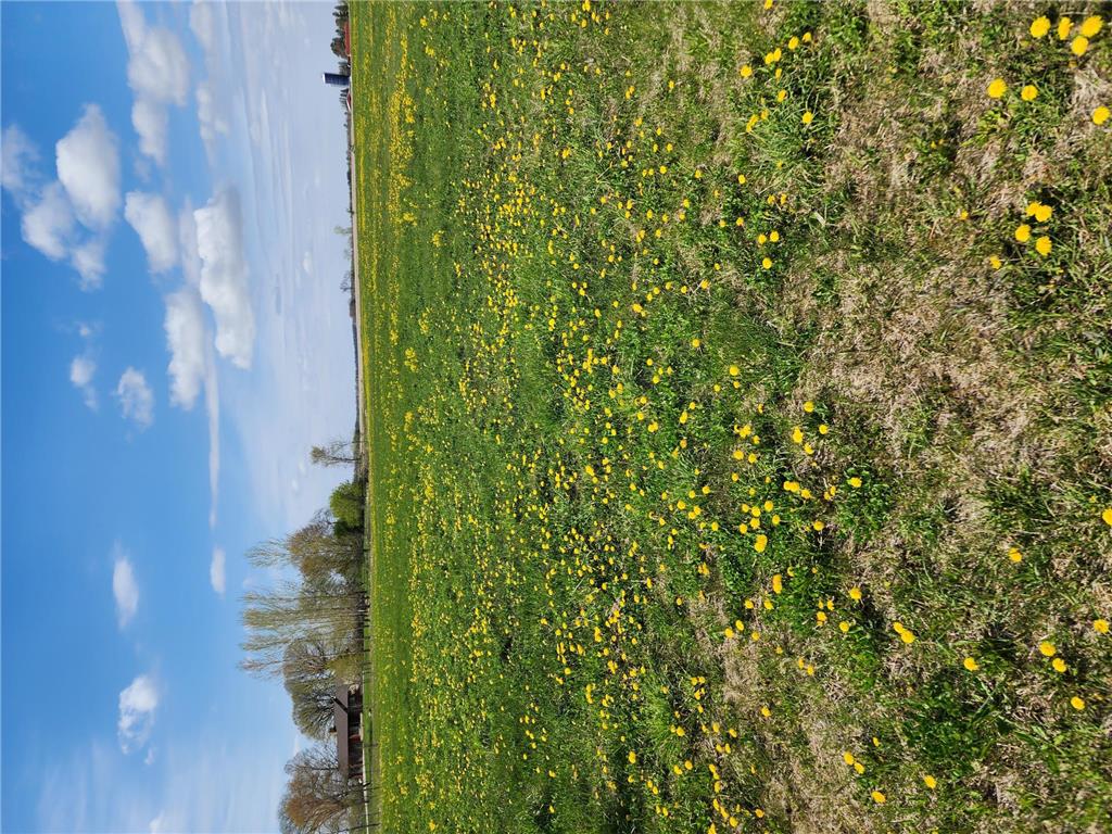 7160 149th Street Borgholm Twp MN 56353 7071055 image13