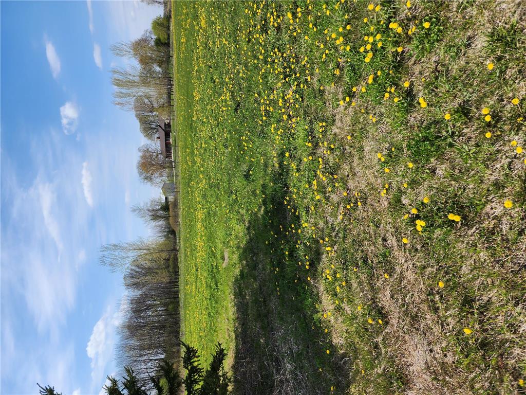 7160 149th Street Borgholm Twp MN 56353 7071055 image14