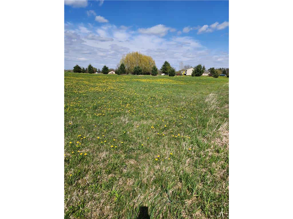 7160 149th Street Borgholm Twp MN 56353 7071055 image4