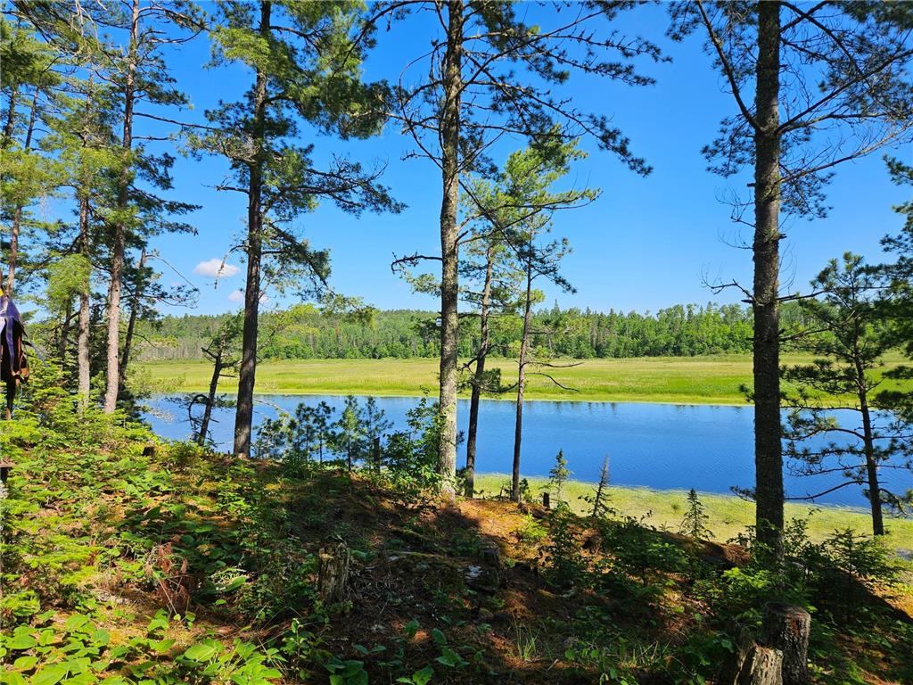 7168 Gold Mine Road Orr MN 55771 - Vermilion River 7099836 image40