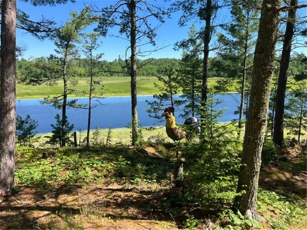 7168 Gold Mine Road Orr MN 55771 - Vermilion River 7099836 image6