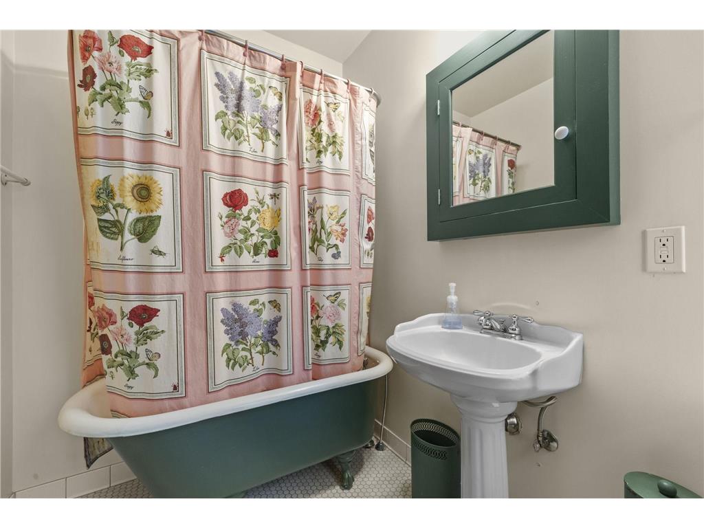 717 5th Street SE #1 Minneapolis MN 55414 7077117 image23