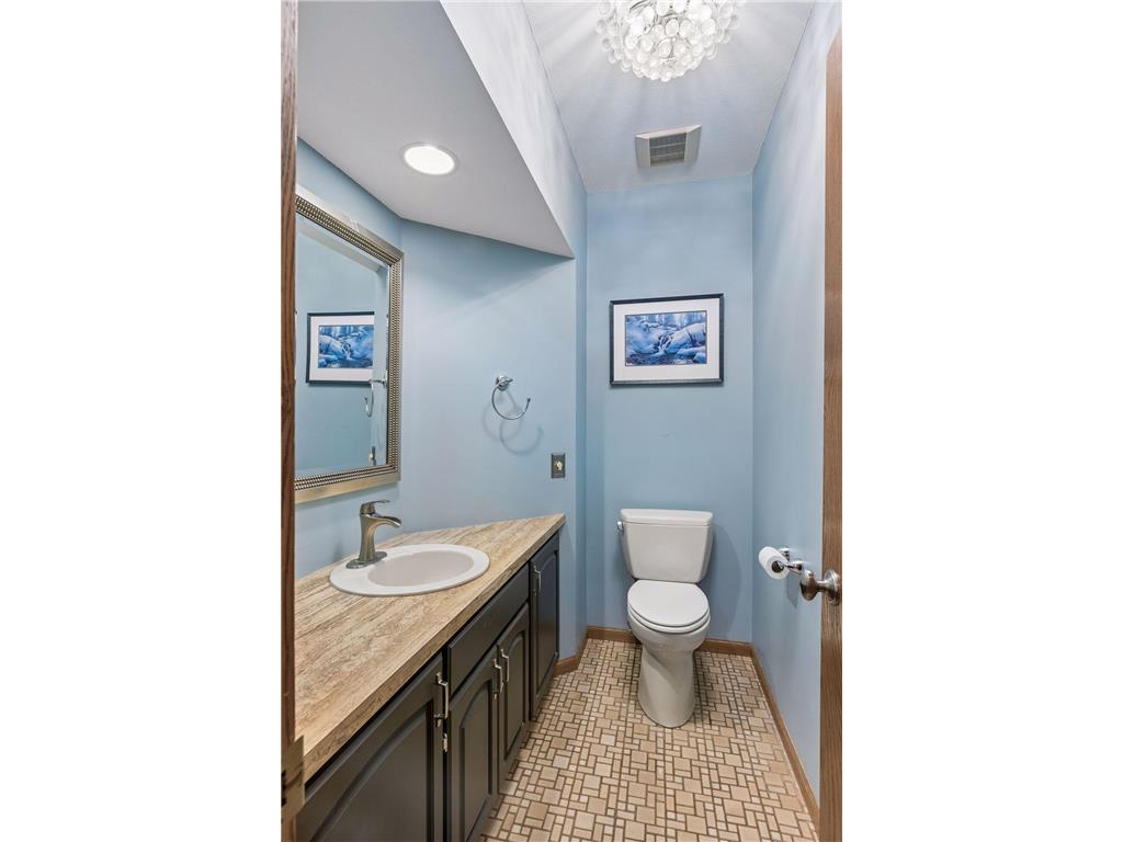 717 Marie Avenue W Mendota Heights MN 55118 7069179 image26