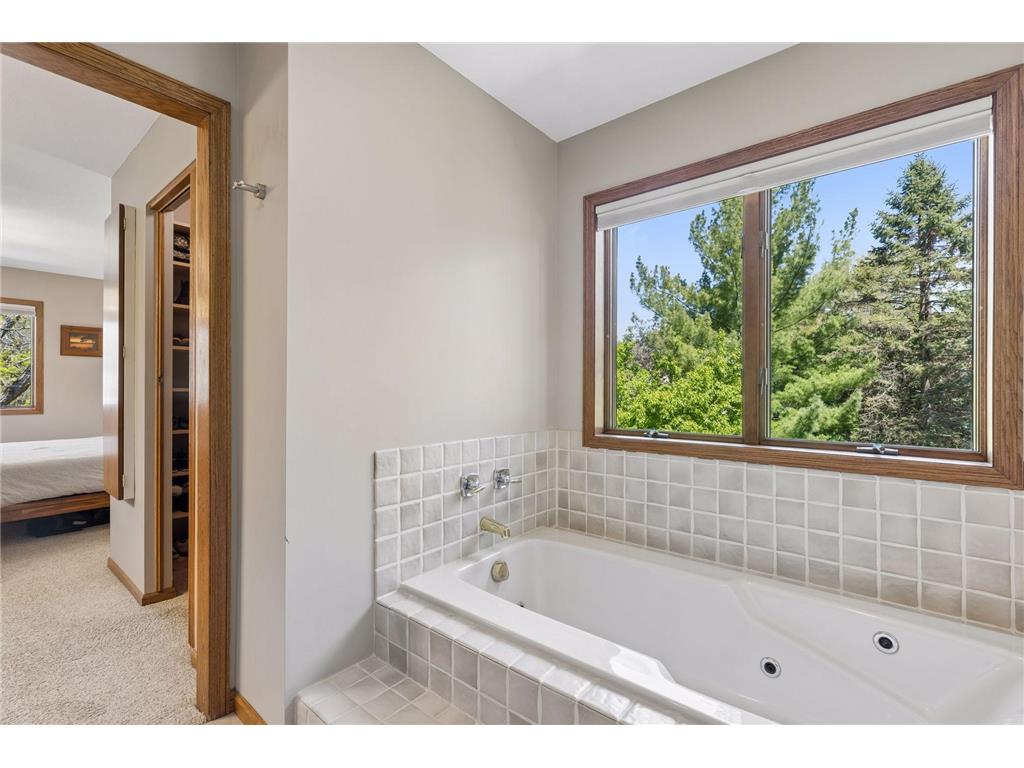 717 Marie Avenue W Mendota Heights MN 55118 7069179 image31