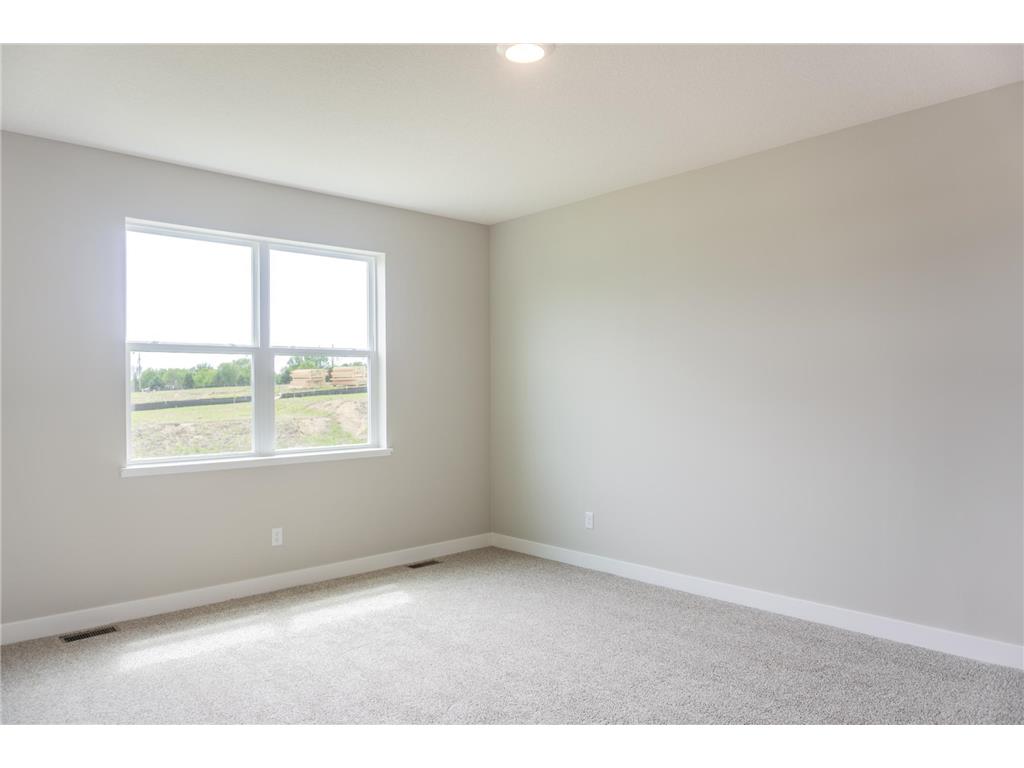 717 Winterberry Lane Waconia MN 55387 7079994 image21