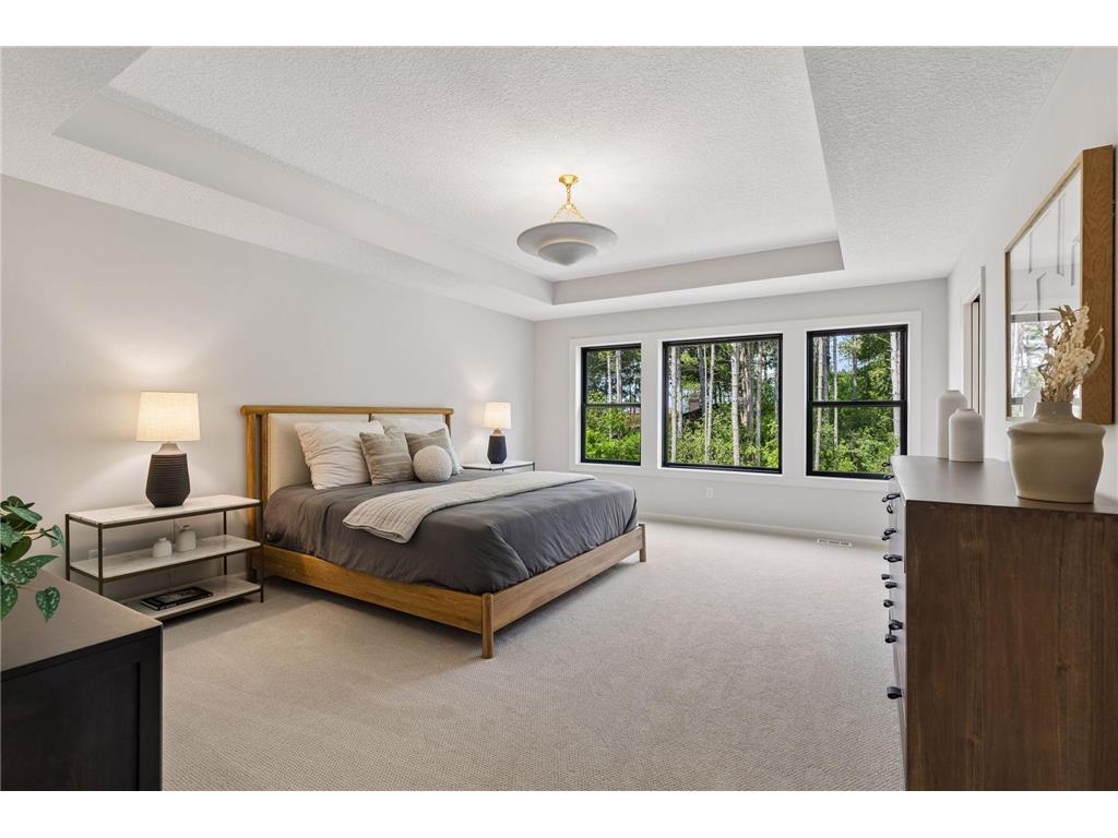 7176 61st S Cottage Grove MN 55016 7055042 image38