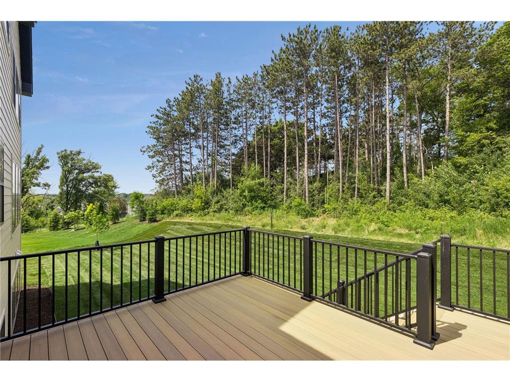 7176 61st S Cottage Grove MN 55016 7055042 image85