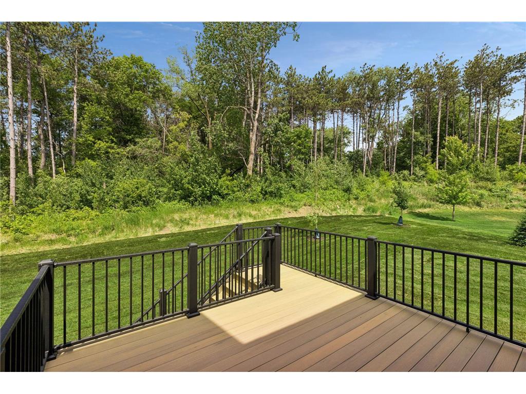 7176 61st S Cottage Grove MN 55016 7055042 image86