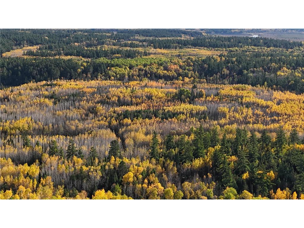 7178 Gold Mine Road Orr MN 55771 - Vermilion River 6800161 image33