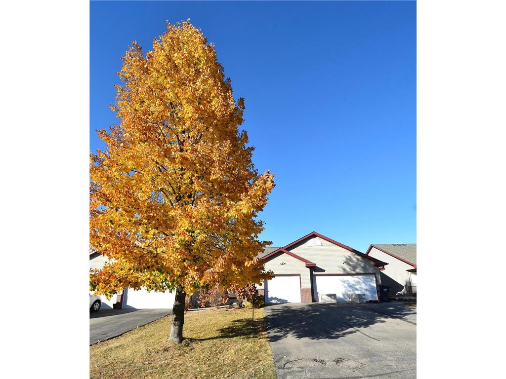 718 10th Street SW Pine Island MN 55963 6646247 image1