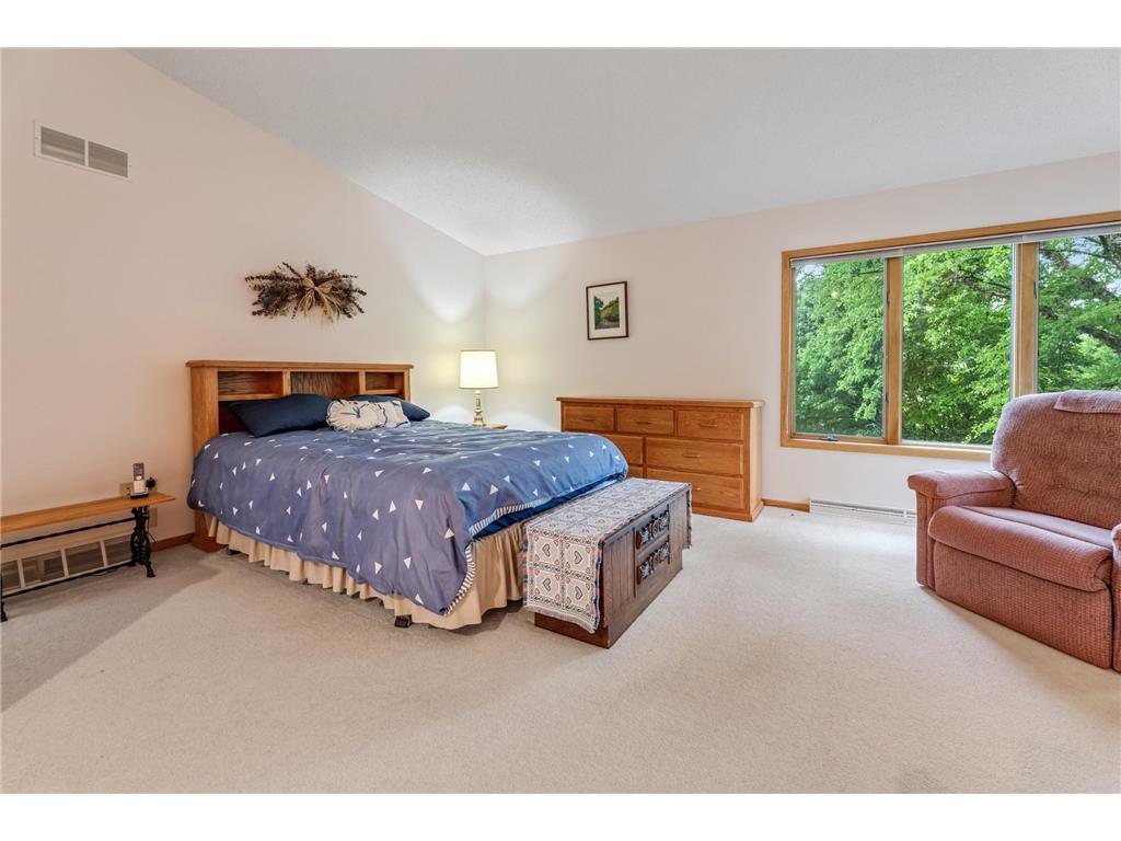 718 Spring Brook Drive Wilson Twp MN 55987 7076903 image18