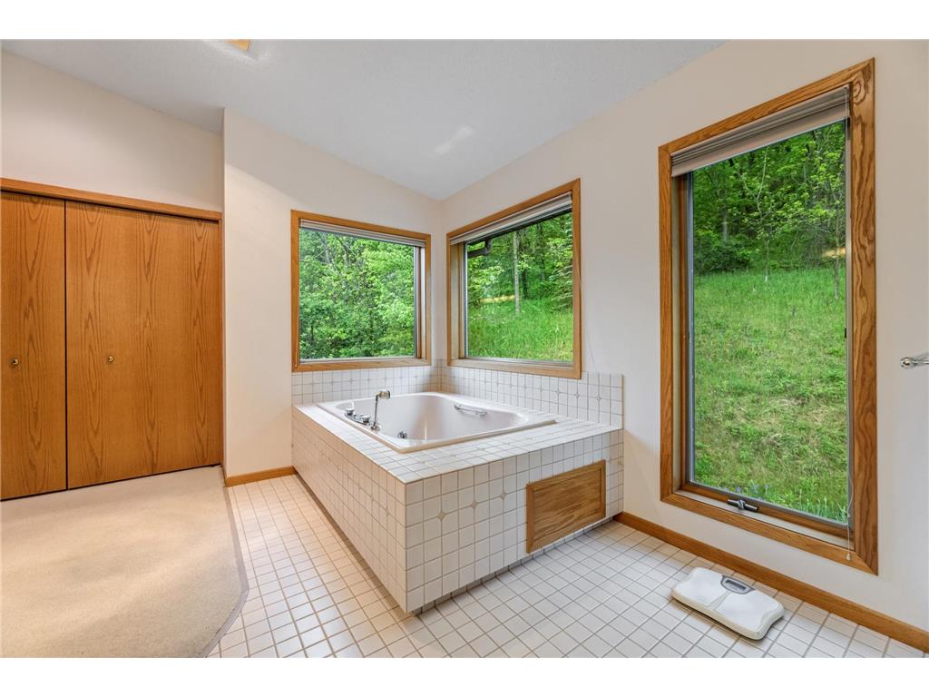 718 Spring Brook Drive Wilson Twp MN 55987 7076903 image21