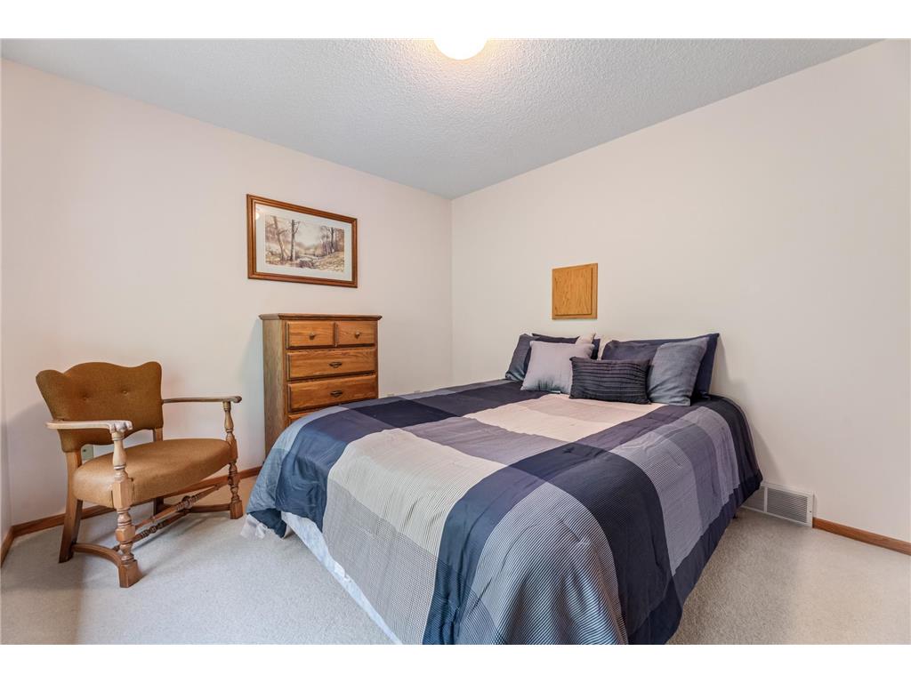 718 Spring Brook Drive Wilson Twp MN 55987 7076903 image24
