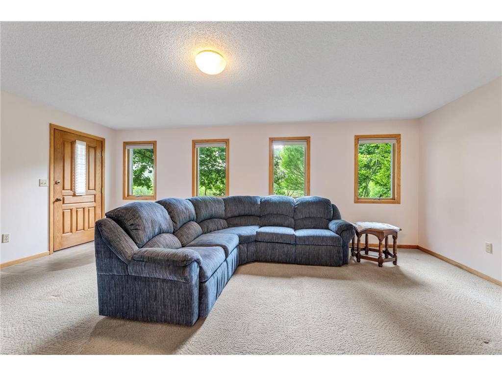 718 Spring Brook Drive Wilson Twp MN 55987 7076903 image27