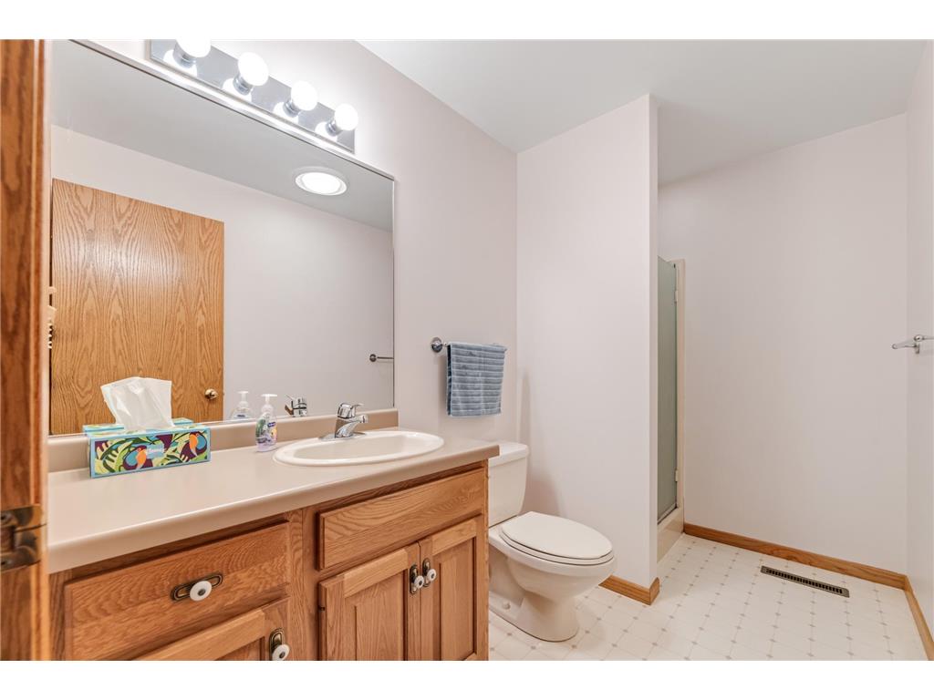 718 Spring Brook Drive Wilson Twp MN 55987 7076903 image29
