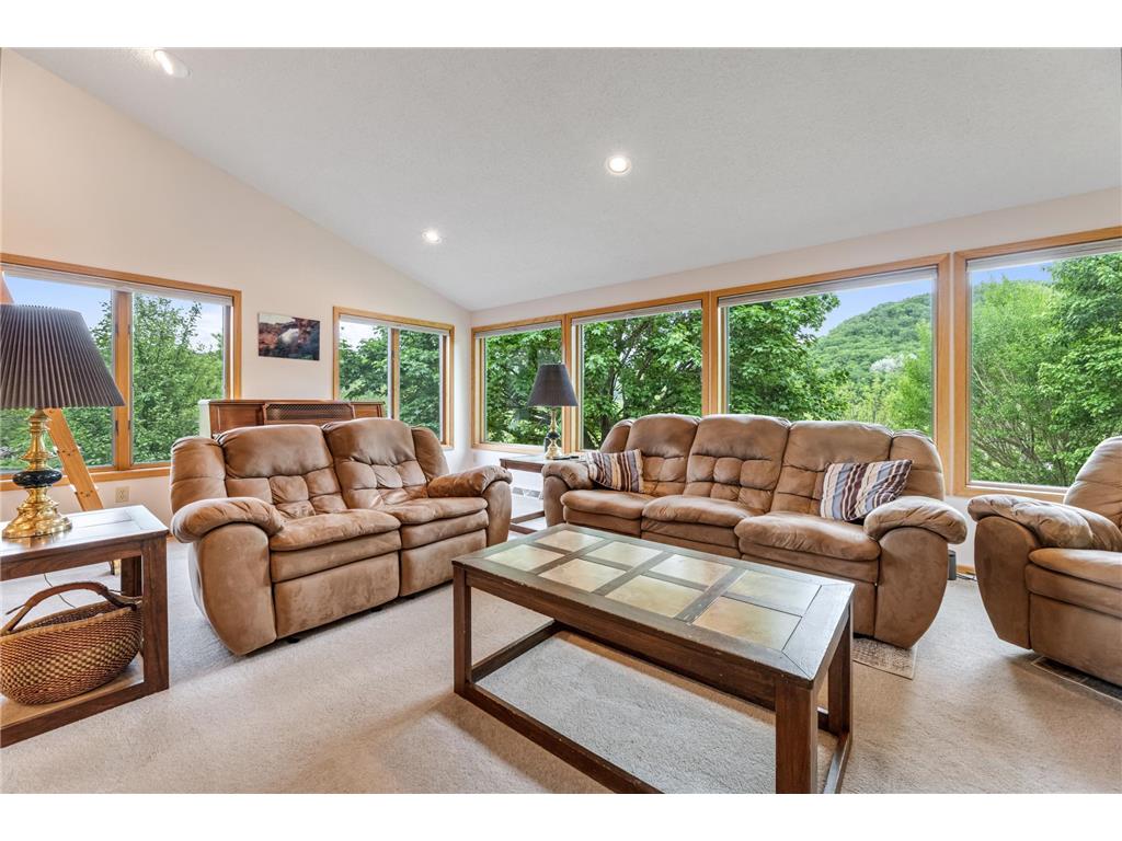 718 Spring Brook Drive Wilson Twp MN 55987 7076903 image6