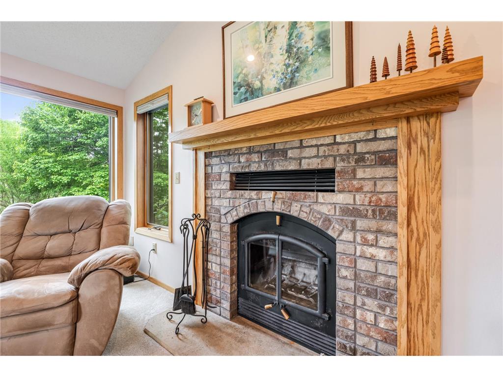 718 Spring Brook Drive Wilson Twp MN 55987 7076903 image8