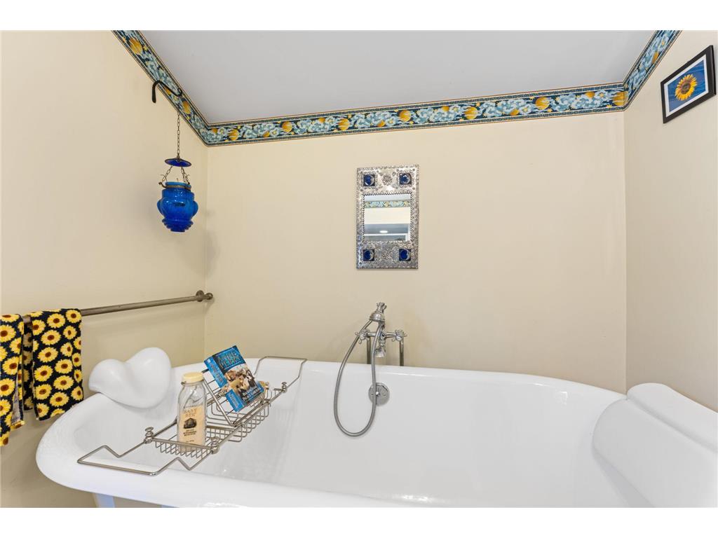 718 Vermillion Street Hastings MN 55033 7067178 image80
