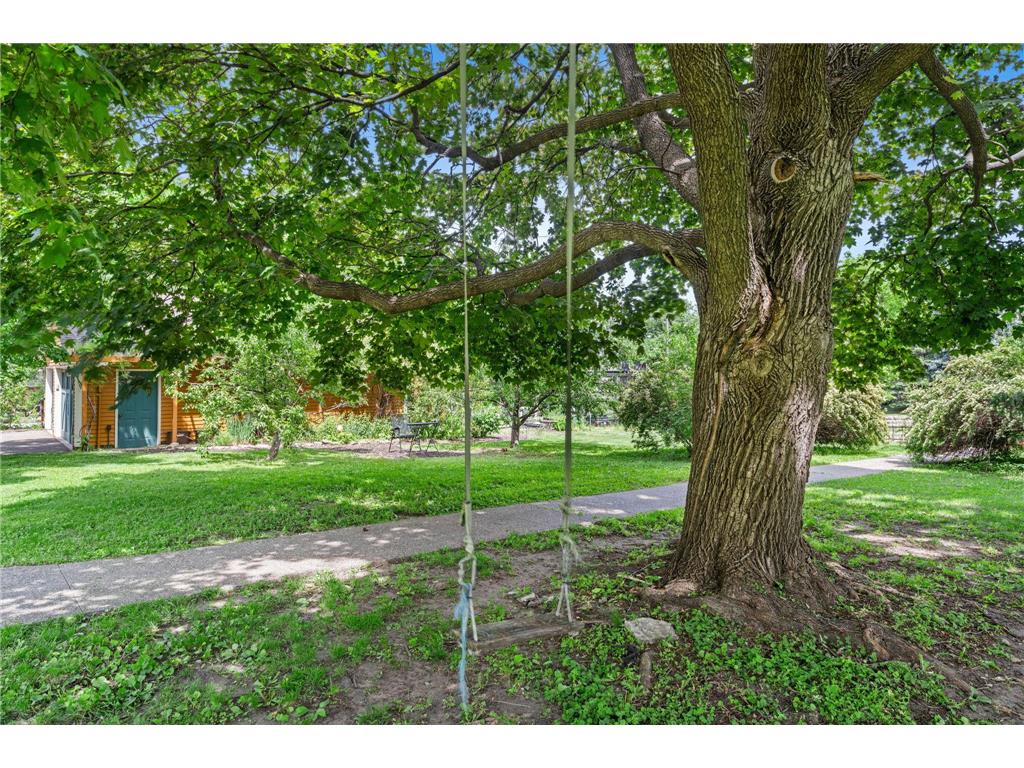 718 Vermillion Street Hastings MN 55033 7067178 image96