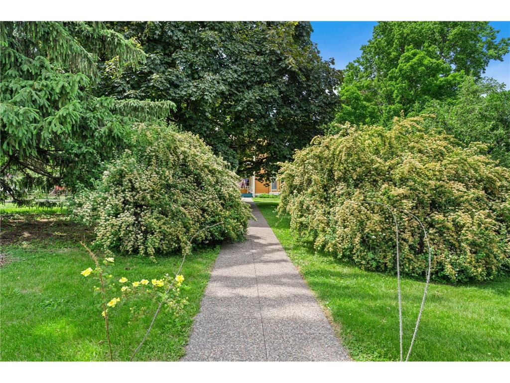 718 Vermillion Street Hastings MN 55033 7067178 image97