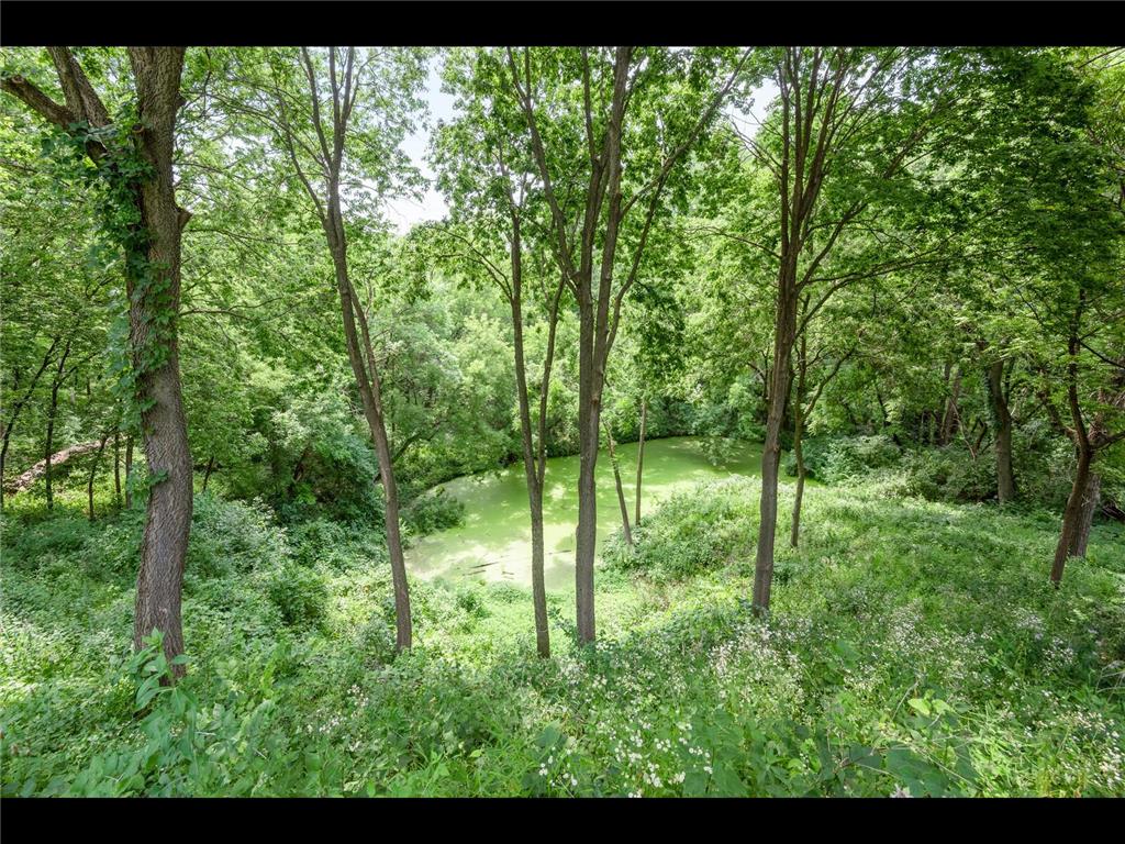 7180 Kenmare Drive Bloomington MN 55438 - Minnesota River 7079653 image93
