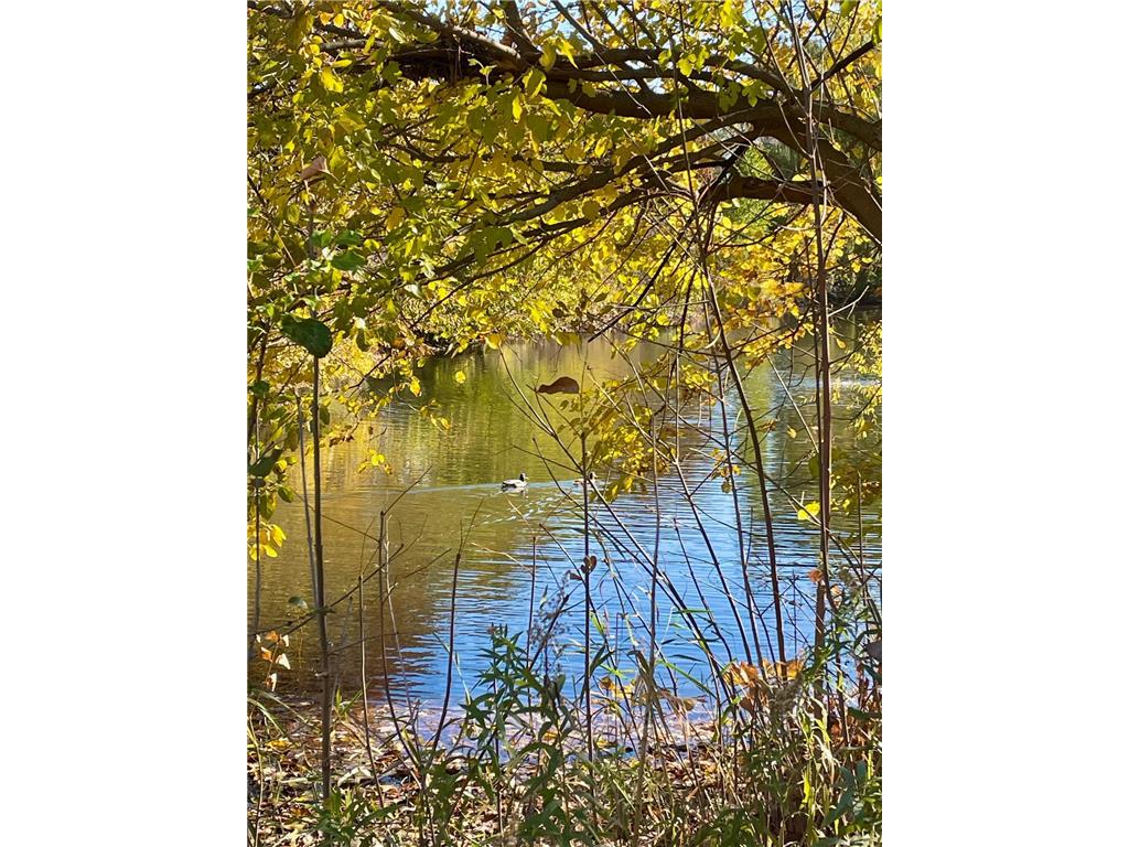 7180 Unity Avenue N Brooklyn Center MN 55429 6811222 image31