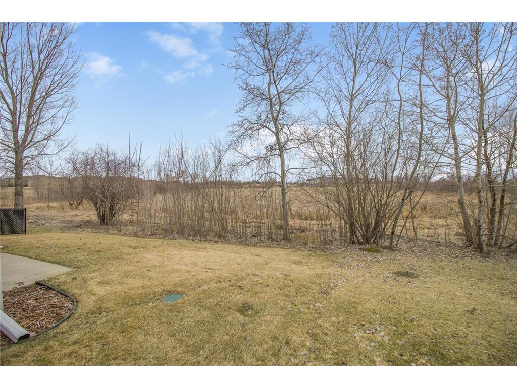 7186 Kittredge Cove Otsego MN 55301 7041267 image33