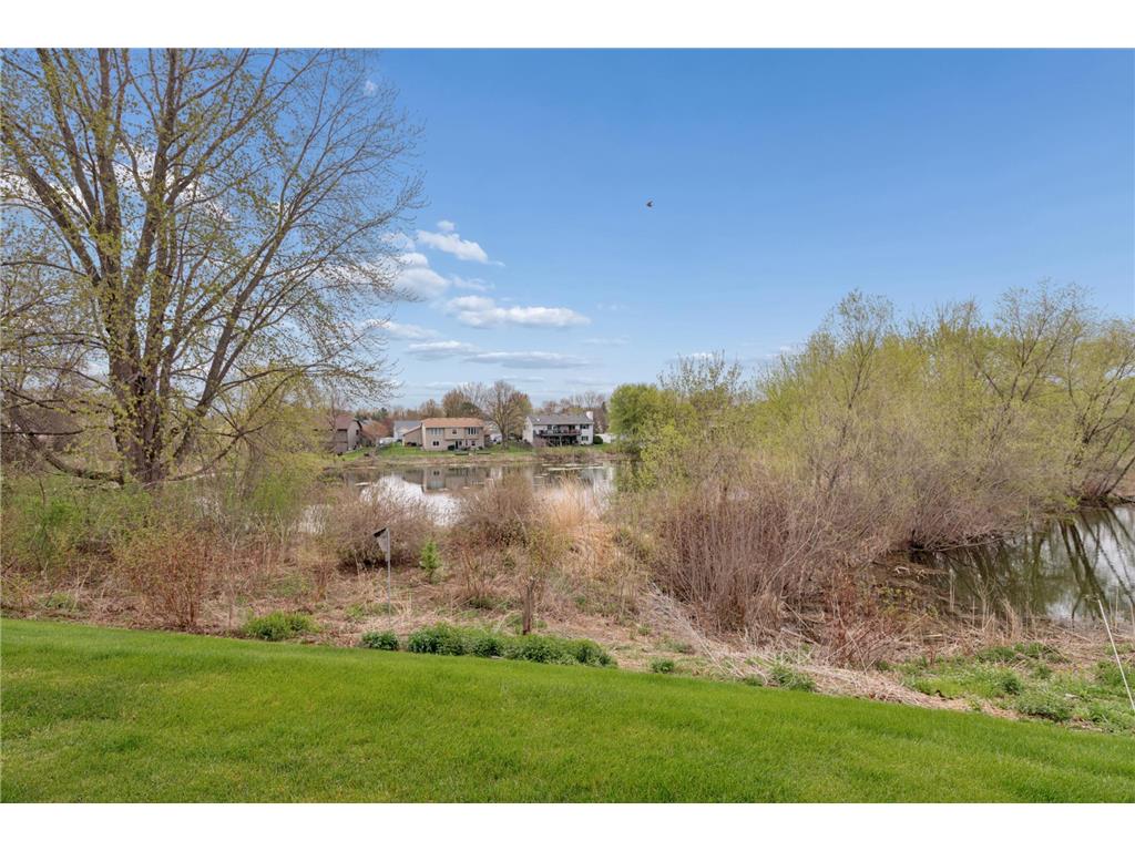7188 Waterstone Lane Woodbury MN 55125 7028356 image2