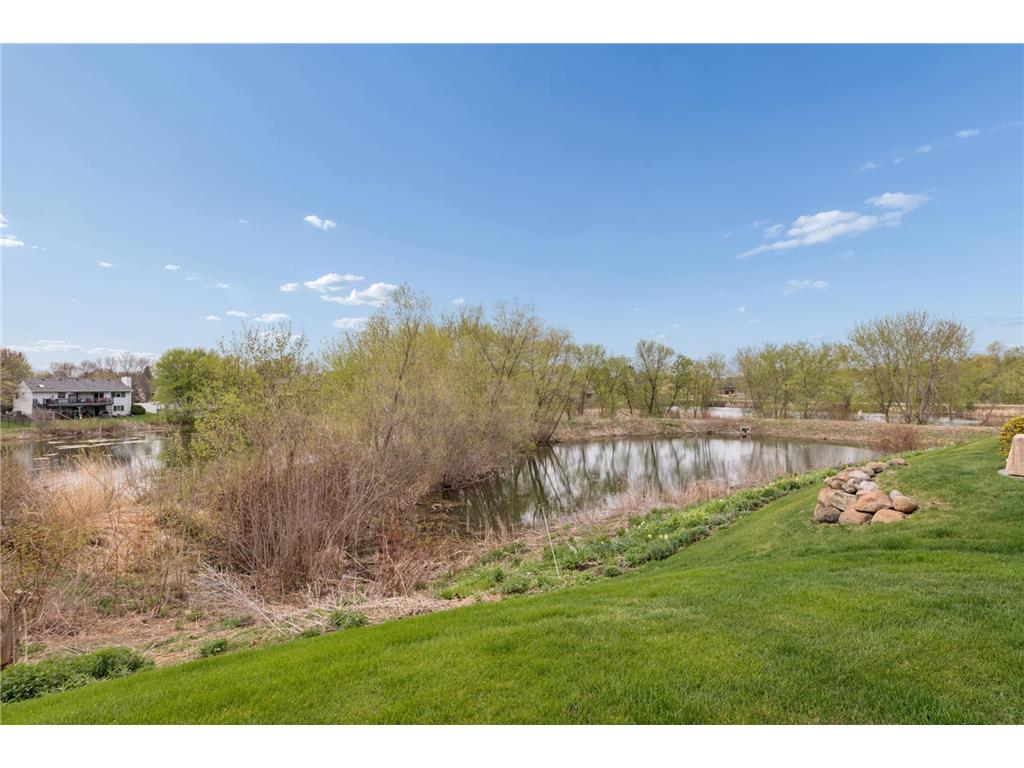 7188 Waterstone Lane Woodbury MN 55125 7028356 image32
