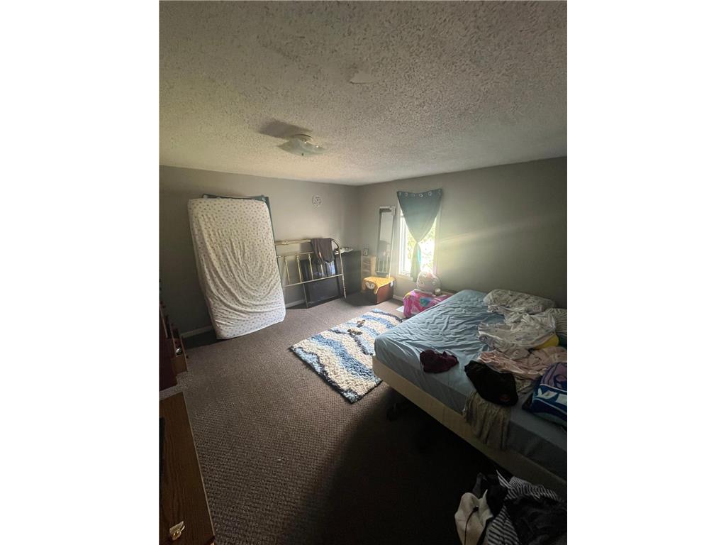 719 Jefferson Street Alexandria MN 56308 6775425 image26