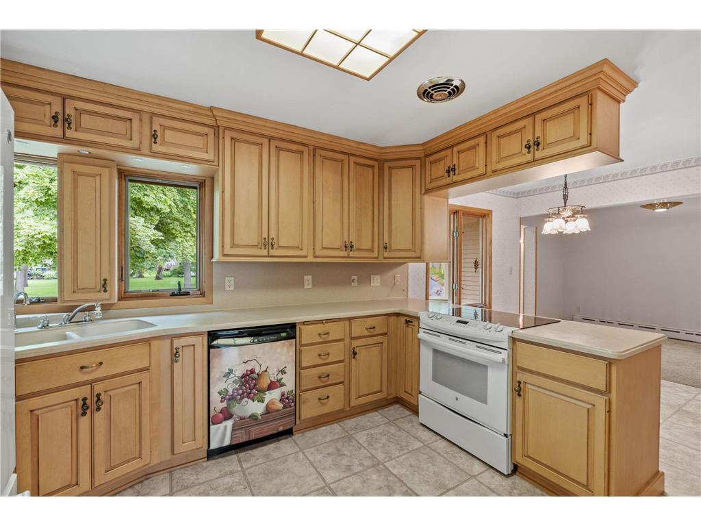 719 Park Avenue Hamburg MN 55339 7085235 image30