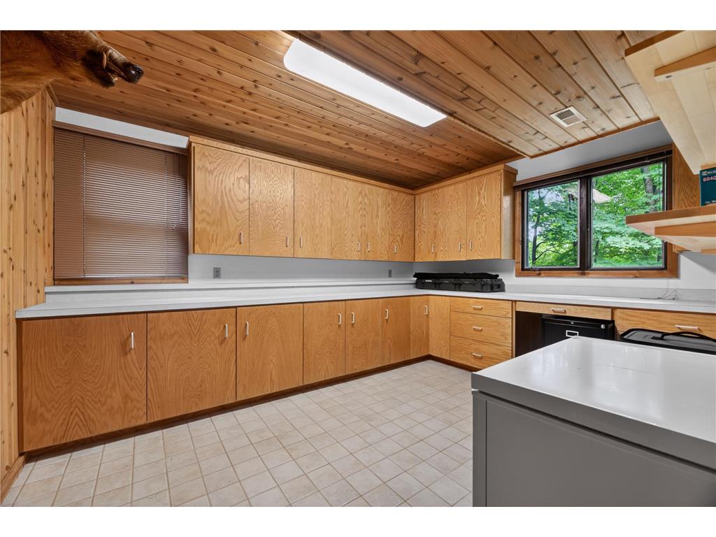 7191 Frontier Trail Chanhassen MN 55317 7078954 image25