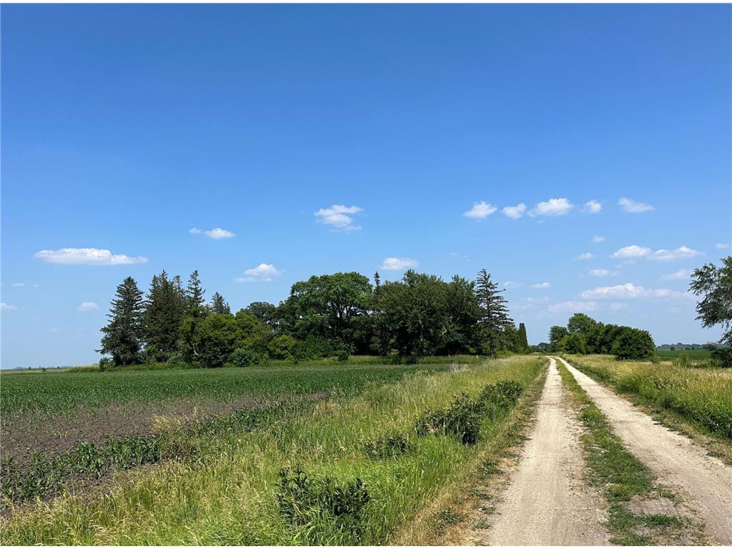 71918 100th Avenue Blooming Prairie MN 55917 6436164 image1