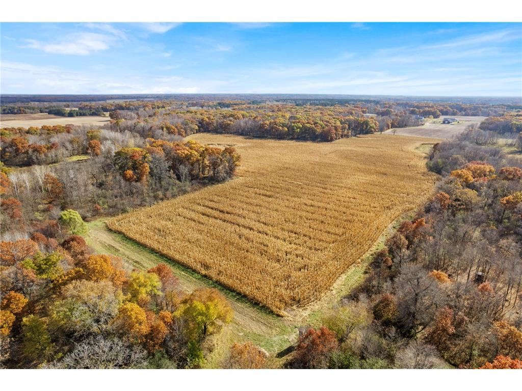 71xxx 165th Avenue SE Becker Twp MN 55308 7085677 image1