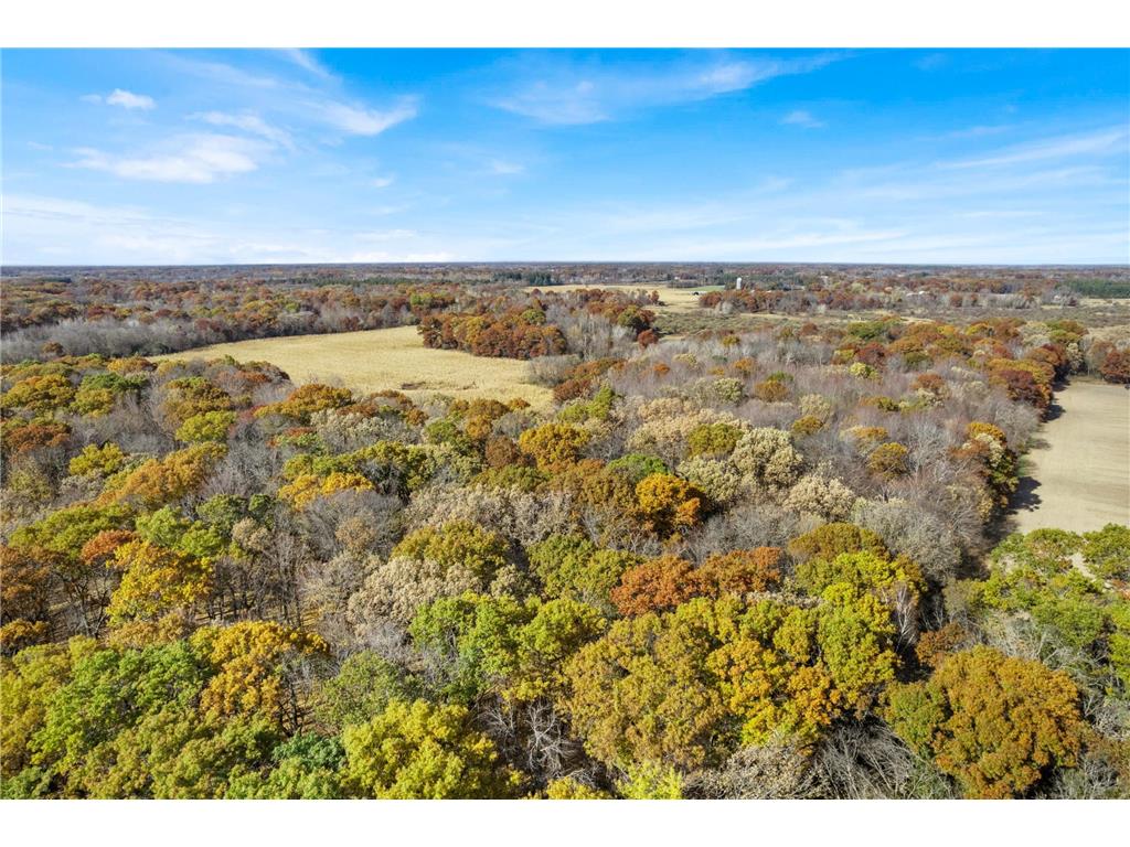71xxx 165th Avenue SE Becker Twp MN 55308 7085677 image11