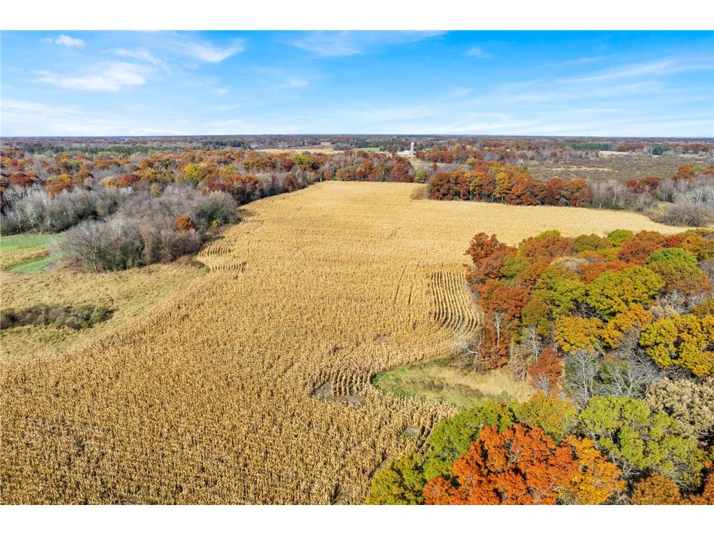 71xxx 165th Avenue SE Becker Twp MN 55308 7085677 image12
