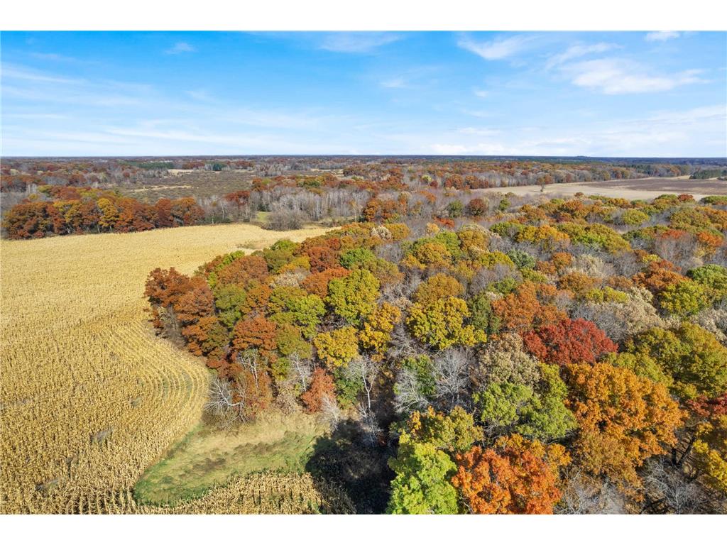 71xxx 165th Avenue SE Becker Twp MN 55308 7085677 image13